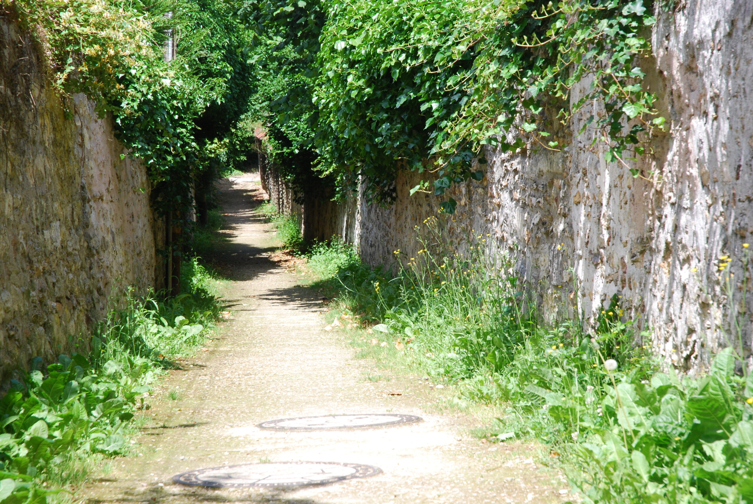 Lire la suite à propos de l’article Murs…murs