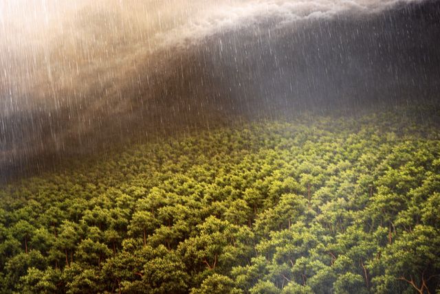 Lire la suite à propos de l’article Une conjonction de talents