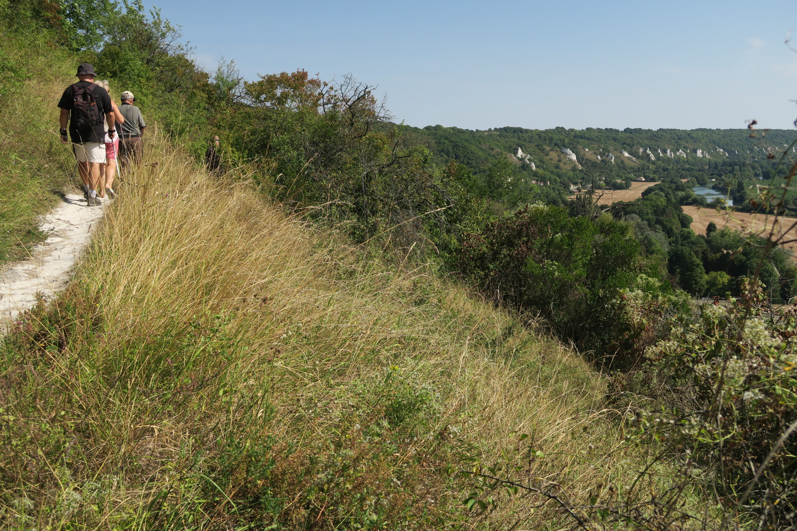 Lire la suite à propos de l’article Les plaisirs de la marche