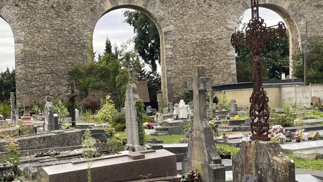 Lire la suite à propos de l’article Top et flop dans notre environnement (14) : la renaturation du cimetière ancien de Louveciennes